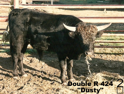 Double R 424