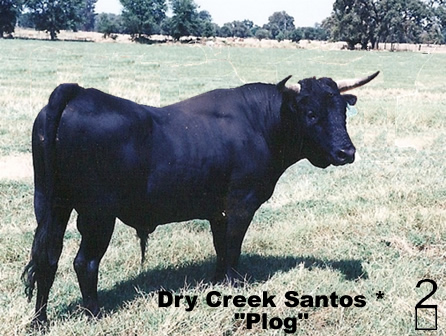Dry Creek Santos*